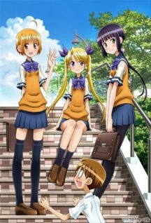 Onii-chan no Koto Nanka Zenzen Suki Janain Dakara ne!! - MyWaifuList