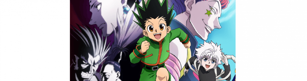 Hunter X Hunter Mywaifulist