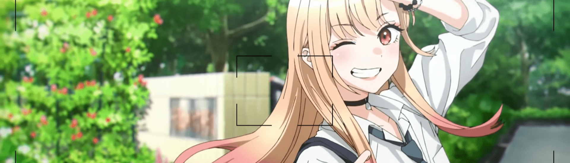 banner image