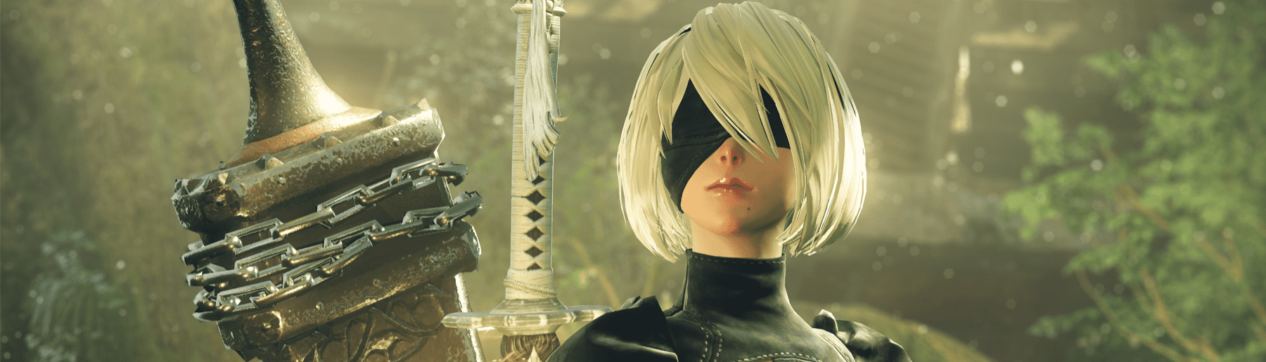 banner image