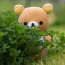 twinkle-bear