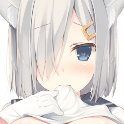 Madness Waifu Lover