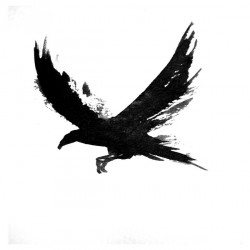 crow