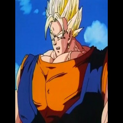 Buff Vegito