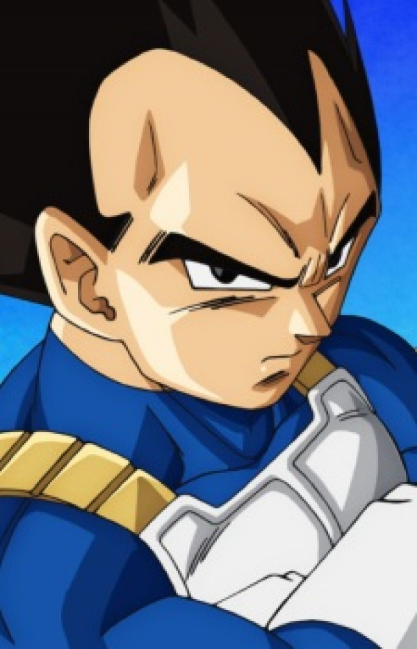 Vegeta portrait